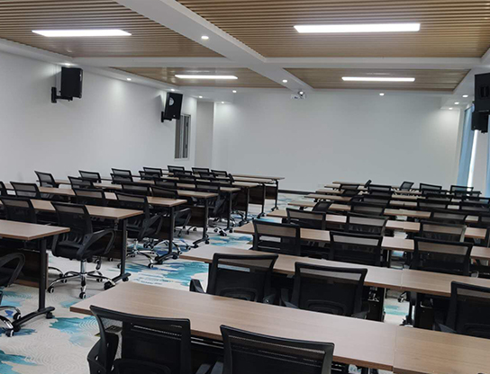 ͶӰ������